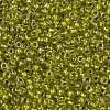 TOHO Round Seed Beads SEED-XTR11-1013-2