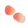 Imitation Candy Food Style Resin Cabochons RESI-R461-01F-2