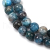 Round Natural Apatite Beads Strands G-K068-02-6mm-01-3
