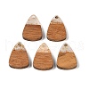 Resin & Wood Pendants WOOD-S061-02G-1
