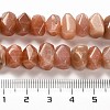 Natural Sunstone Beads Strands G-N327-05-12-5