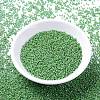 MIYUKI Delica Beads Small SEED-X0054-DBS0163-2