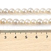 Electroplated Natural Freshwater Shell Beads Strands BSHE-G036-22-4