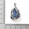Natural Blue Spot Jasper Teardrop Pendants G-G112-03P-07-3