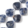 Natural Blue Spot Jasper Beads Strands G-D316-A04-2