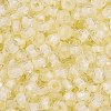 Glass Seed Beads SEED-A032-05I-3