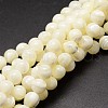 Shell Beads Strands SSHEL-E571-39-8mm-1