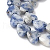 Natural Blue Spot Jasper Beads Strands G-D316-B10-3