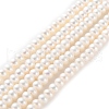 Natural Cultured Freshwater Pearl Beads Strands PEAR-I007-02C-02-2