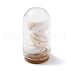 Glass Dome Bottle Display Decorations AJEW-JD00008-02-1
