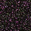 Spray Painted Glass Seed Beads SEED-F005-07A-03-3