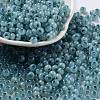 Glass Seed Beads X1-SEED-M011-02A-08-1
