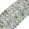 Natural Labradorite Beads Strands G-P573-C07-01-2
