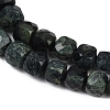 Natural Kambaba Jasper Beads Strands G-H078-C46-6mm-4