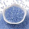 Glass Seed Beads SEED-L011-05B-12-2