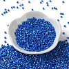 Baking Paint Glass Seed Beads SEED-S042-15A-18-2