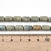 Natural Variscite Beads Strands G-N346-01B-14-5