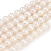 Natural Cultured Freshwater Pearl Beads Strands PEAR-I007-07X-04A-2