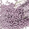 Cylinder Seed Beads SEED-H001-H18-1