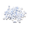 6/0 Opaque Glass Seed Beads SEED-P005-A14-1