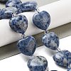 Natural Blue Spot Jasper Beads Strands G-C150-A27-01-1