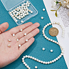 2 Strands Natural Freshwater Shell Round Beads Strands SHEL-HS0001-09-3