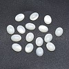 Shell Cabochons SSHEL-P015-59F-1