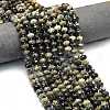Natural African Turquoise(Jasper) Beads Strands G-P573-A28-01-1