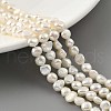 Natural Cultured Freshwater Pearl Beads Strands PEAR-A006-03C-1