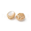 Brass Shell Beads KK-U052-41G-2