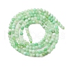 Natural Chrysoprase Beads Strands G-C196-A02-2mm-3