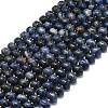 Natural Sodalite Beads Strands G-P573-B17-01-2