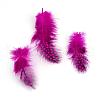 Chicken Feather Costume Accessories FIND-Q048-14-2