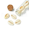2Pcs Transparent Glass Wishing Bottle Decoration PALLOY-JF03373-5