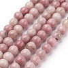 Natural Rhodonite Beads Strands G-G099-6mm-33-1