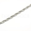 Tarnish Resistant Fashionable 304 Stainless Steel Rope Chain Necklaces STAS-A028-N056P-2