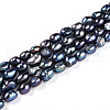 Natural Cultured Freshwater Pearl Beads Strands PEAR-N014-06G-04-5