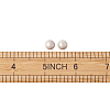 Shell Pearl Beads BSHE-TA0002-04B-8mm-7