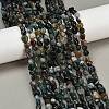 Natural Indian Agate Beads Strands G-Q060-D08-01-1
