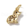 Brass Micro Pave Cubic Zirconia Charms ZIRC-F131-04G-2