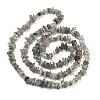 Natural Labradorite Beads Strands G-P332-23-4