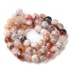 Dyed & Heated Natural Fire Crackle Agate Beads Strands G-P539-B01-25-3
