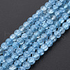 Crackle Glass Beads Strands GLAA-S192-D-006C-1