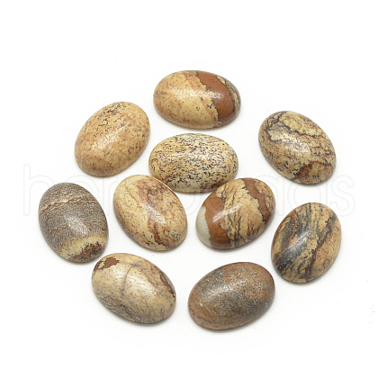 Natural Picture Jasper Cabochons X-G-R415-13x18-42-1