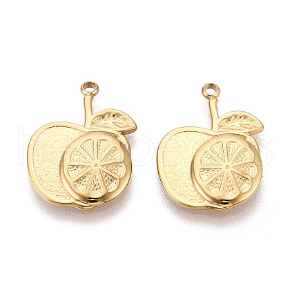 304 Stainless Steel Pendants STAS-T065-73G-1