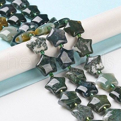 Natural Indian Agate Beads Strands G-NH0005-010-1