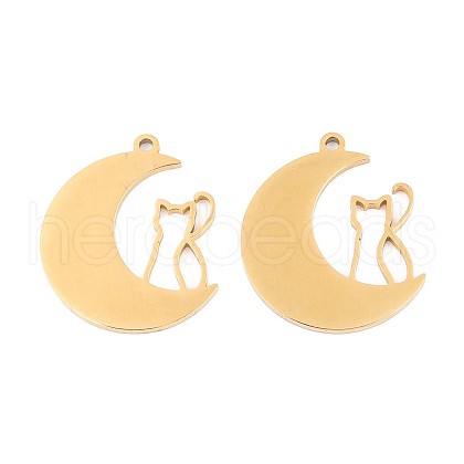 304 Stainless Steel Pendants STAS-N108-31G-1