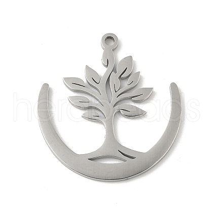 304 Stainless Steel Pendants STAS-V016-21P-1