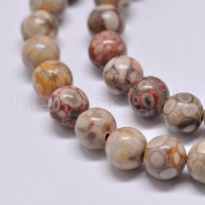 Natural Medicinal Beads Strands G-F353-8mm-1