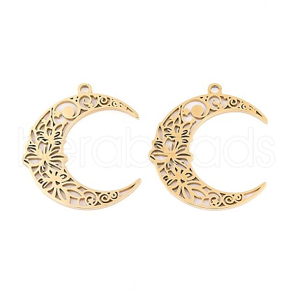 304 Stainless Steel Pendants STAS-N108-34G-1